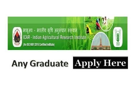 ICAR Govt Vacancy 2021 for any Graduates